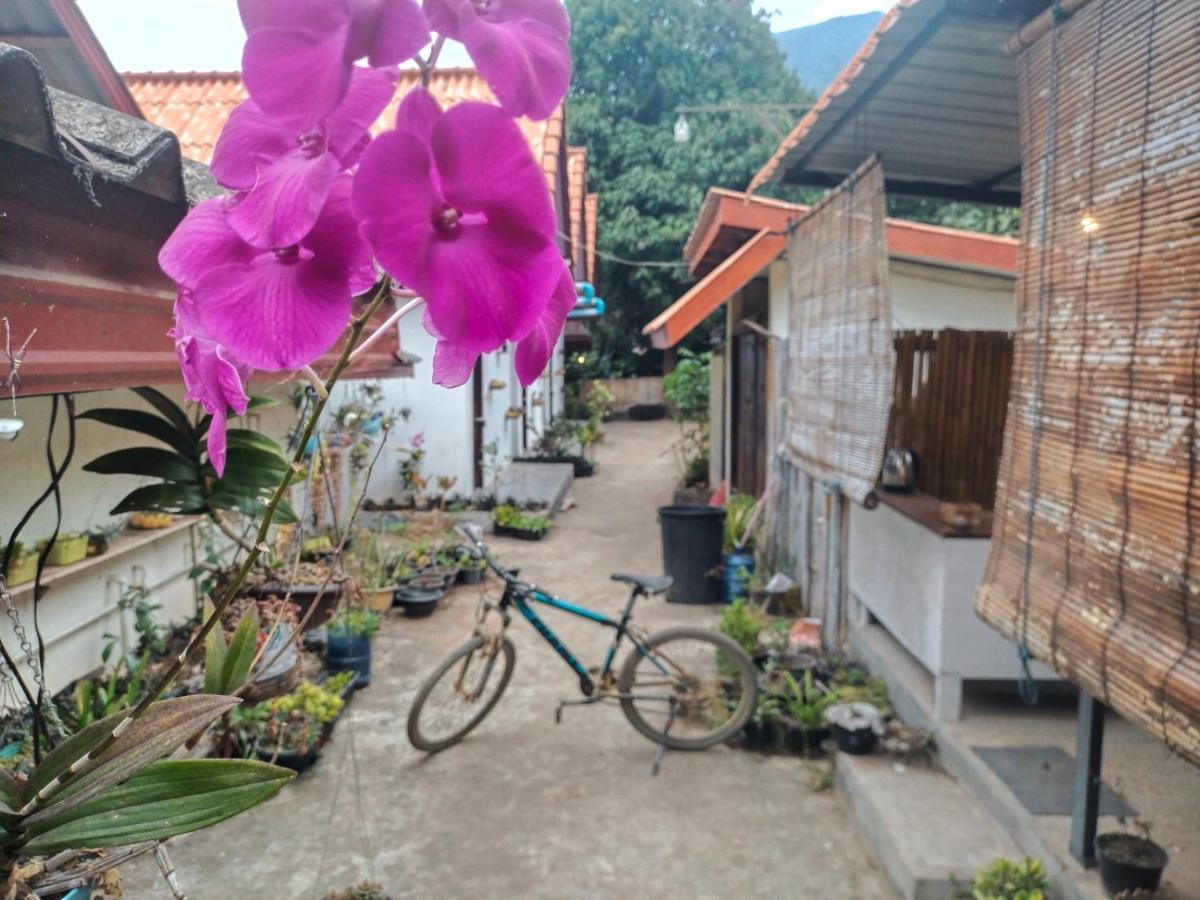 Pdv Guesthouse Muang Ngoi Exteriér fotografie